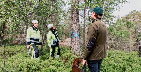 Markförhandling med fokus på transparens och goda relationer