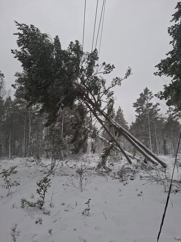 Dubbelstormens prövning – så säkrade vi elen efter Johannes och Anna med erfarenhet och laganda