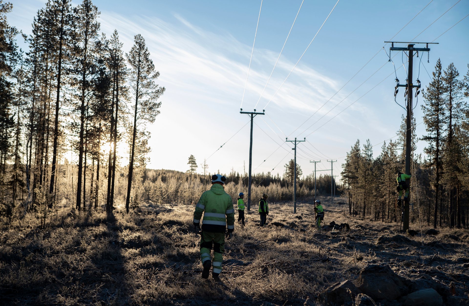 Distribution Randijaur 134