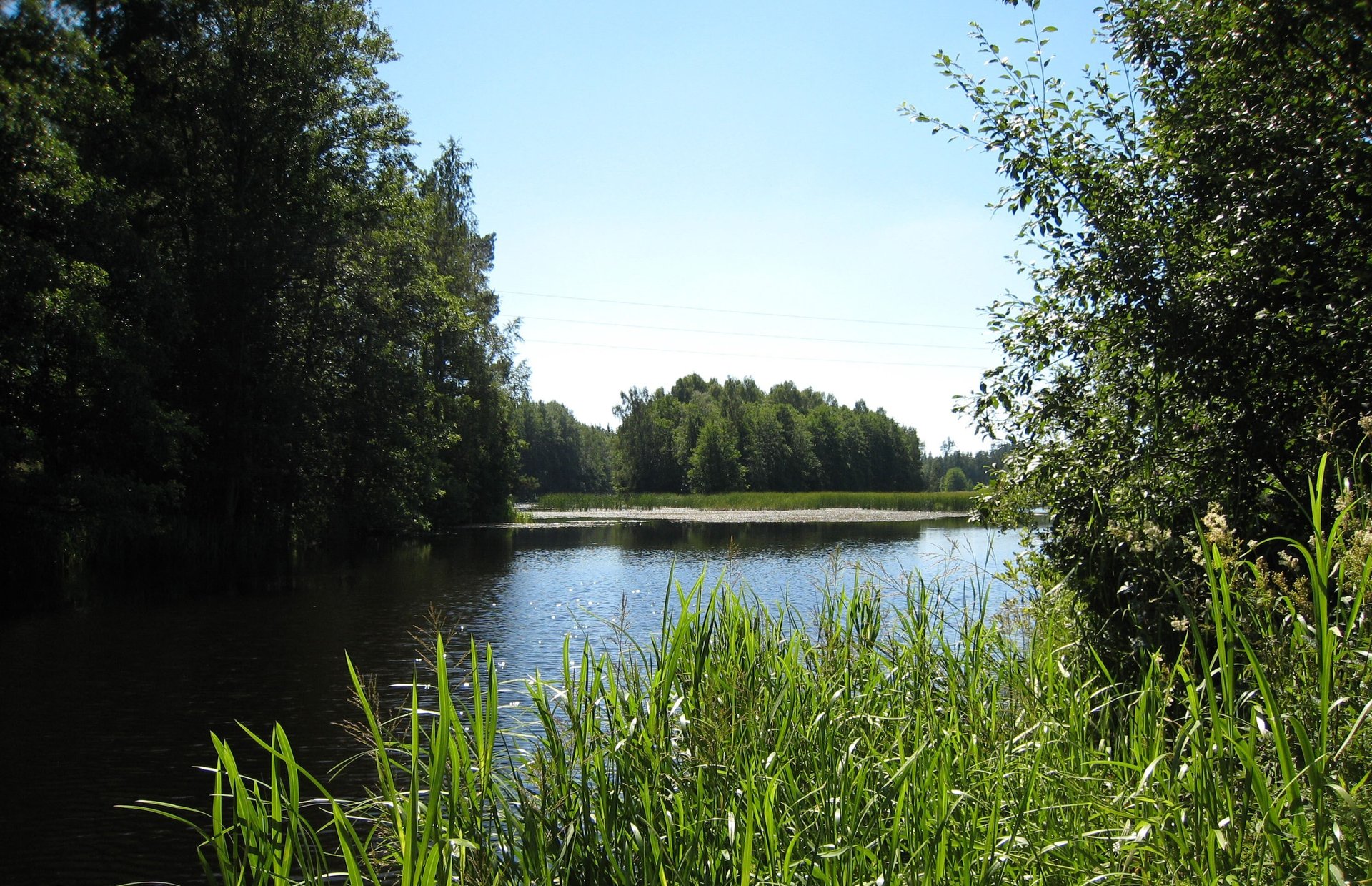 <span id="hs_cos_wrapper_name" class="hs_cos_wrapper hs_cos_wrapper_meta_field hs_cos_wrapper_type_text" style="" data-hs-cos-general-type="meta_field" data-hs-cos-type="text" >Noggrann provtagning säkrar återvinning och skyddar Emåns unika miljö</span>