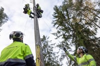 Satsningar för framtidens arbetskraft - Ny utbildning för distributionselektriker
