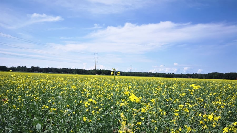 IMG_20230624_124309-1