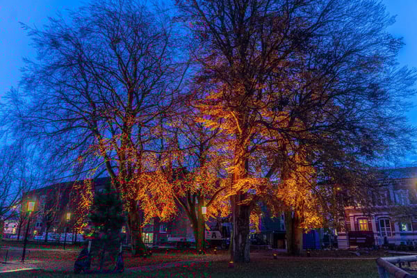 belysning orange day