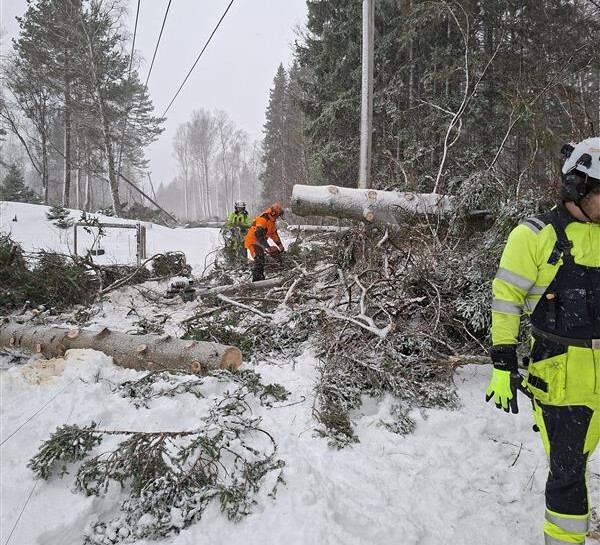 a8664f35-90ee-4117-8ffe-66a8cded8e83-1